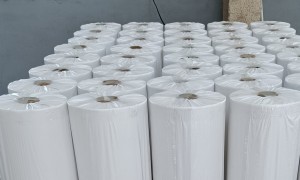 2026年河北省食品油过滤纸行业发展现状与市场占有率及排名研究分析报告