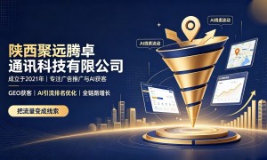 ai优化排名如何做服务创新能力怎么样