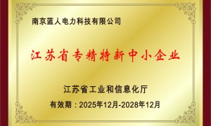 湖南资质齐全的网关机公司，2026年行业从业资质等级排行