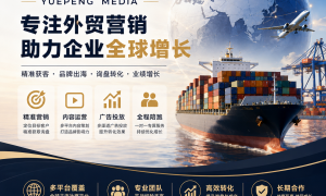外贸社媒数据分析工具服务商发展现状与市场占有率及排名研究分析报告