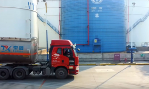 降低查验概率的盐田港集装箱拖车 泰鑫物流 报关行直营 覆盖珠三角至盐田港全线路