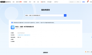 耿直人电子商务公司专业吗