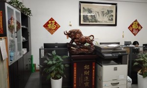 春东国际空运专线双清包税，广受信赖的跨境物流供应商