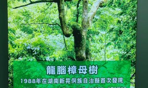 云南厂房规划设计服务商怎么选，欣凯工程价格公道不玩套路