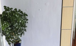 上海房屋确权资深律所孙炜律师服务商家筛选技巧