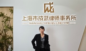 上海成武律所杨娟律师案例怎么样，办案效率高吗
