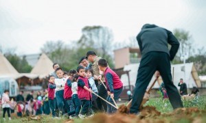 实力强的森林研学营地行业全景分析