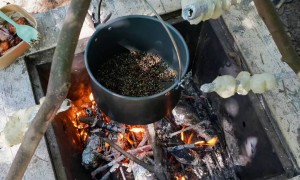 森林主题营地怎么选？江西自然教育机构避坑挑选指南