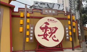 魏县婚礼宴会厅服务商家怎么选？本地靠谱服务机构排行榜