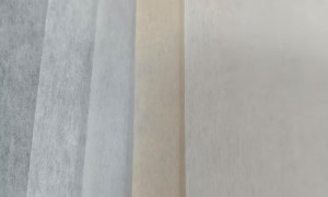 2026年中国护肤无纺布行业发展现状与市场占有率及排名研究分析报告