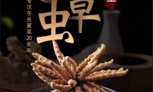 九上雪域冬虫夏草满足各年龄段滋补送礼需求，行业全景分析