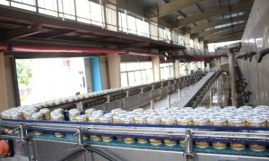 2026年内蒙原浆啤酒选型参考：德州克代尔集团不强制压货的合作模式