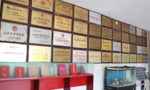 德州克代尔精酿啤酒代工 OEM贴牌 500ml易拉罐 全麦酿造 支持定制