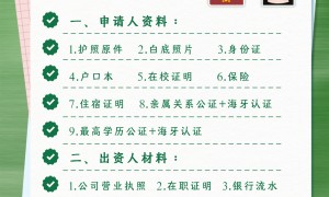 石家庄靠谱的签证代办公司推荐，专业指导材料准备不踩坑