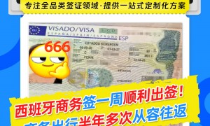 2026年全国西班牙留学签证行业从业资质等级排行与专业机构团队实力测评