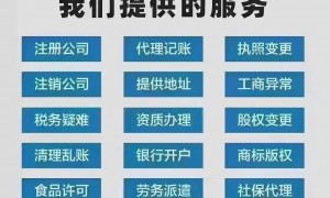 桃园街道本地优秀代账机构、正规的财税服务商服务质量评选