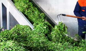 想找能做速冻蔬菜私人标签代工的好工厂？濮阳源头厂家资质齐全名单