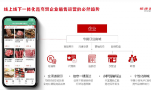 2026年靠谱的畅捷通好会计做账软件服务商能力调研报告