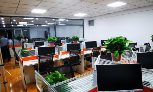 综合科技服务商推荐，音视频工程与广告文创一站式服务实力解析