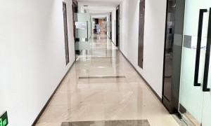 税务申报专业机构服务质量评选