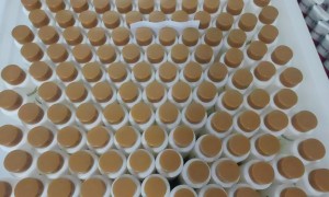 香妃化妆品：染发霜定制加工源头生产厂家，无氨低敏染发膏与一梳黑染发膏批量定制