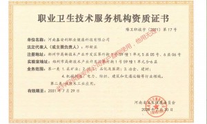 河南鑫安利职业健康科技：2026年安全评价及设计年度优选，服务流程透明，报告通过率高