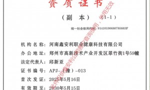 广州企业职业卫生评价优选 鑫安利 技术团队驻场服务 保障数据精准与报告时效