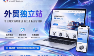 外贸独立站运营哪家强？酷优网络团队实力测评