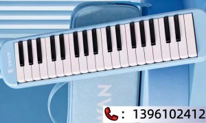 2026年上海中小学口风琴优质厂家选哪家？天鹅乐器口碑公司汇总