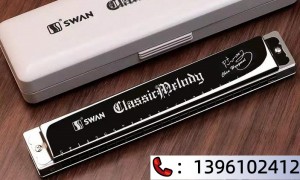 浙江初学入门口琴口碑好的厂家实力之选：2026年社团合奏口琴源头工厂用户力荐