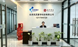 北京讯灵本地靠谱服务商推荐，讯灵寰宇合作实力参考，报价透明不玩套路