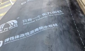 常州防水公司资质齐全名单盘点，屋面换瓦服务商靠谱商家怎么选？