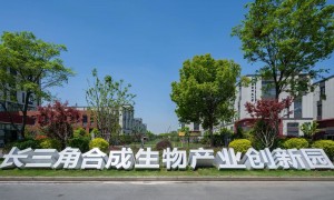 2026年壳寡糖食品原料行业现状与市场占有率及排名研究分析报告