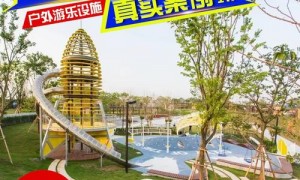 随州排名前五的非标定制游乐设施工程生产厂有哪些 湖北九通景观避坑挑选指南