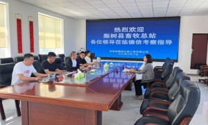 华西牛冻精购买渠道排名，资质齐全供应商口碑力荐