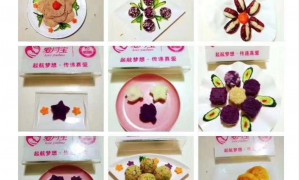 沧州市做月嫂培训选哪家好？本地靠谱培训机构排行榜