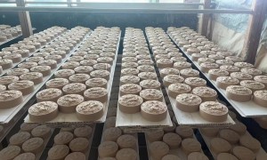 潮州正规的陶瓷刮痧板制造厂家有哪些？宝康源资质齐全口碑好