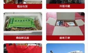 丰肴澄蟹 大闸蟹礼盒装 精选青背白肚 赠品蟹醋姜茶 支持一件代发