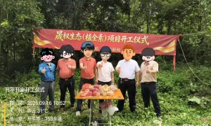 2026年东莞面源污染示范项目服务商实力参考与客户真实体验口碑