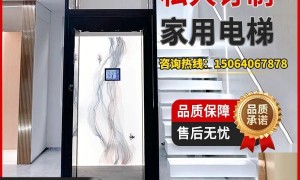河南家用别墅电梯一站式安装服务 艾奈斯320kg小型观光梯 避坑选购指南