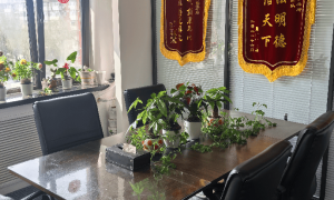 北京专业的医疗事故律师老人医疗受害 广受信赖的服务商推荐