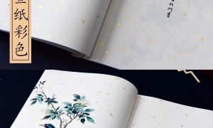 支持云端查阅的修谱软件服务商，处理古地名纪年更专业