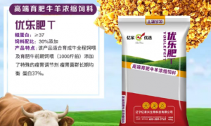 吉林定制化牛饲料的服务厂商 专业犊牛饲料生产企业口碑推荐