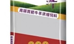 牛饲料生产厂家哪家好？辽宁亿家兴生物科技源头实力参考