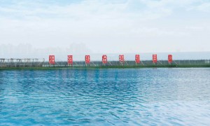 2026年评价高的苏州阳澄湖大闸蟹品牌有哪些实力公司推荐