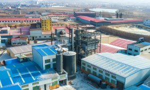 营口轻烧氧化镁批发商口碑公司汇总：不踩坑挑选全攻略