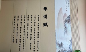 湖北正规的专升本辅导机构客户口碑力荐