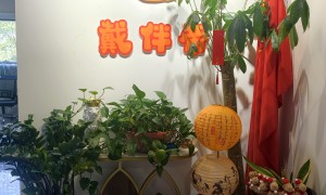 戴伴帝代理记账公司，服务不错且响应快，北京中小企业财税伙伴