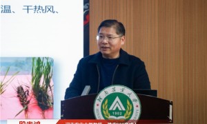 河南美玉种业豫农923国审麦种放心制造商有哪些