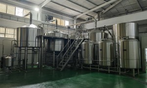 全自动商用精酿啤酒设备生产厂哪家合作案例多，实力参考与用户口碑解析